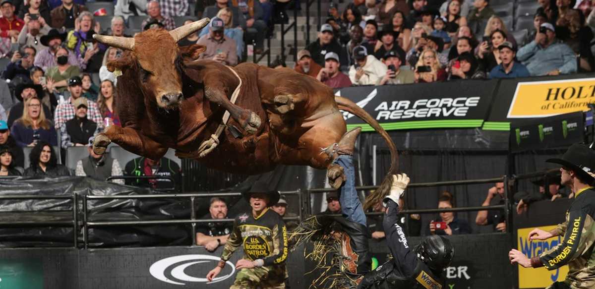 Standings PBR Professional Bull Riders