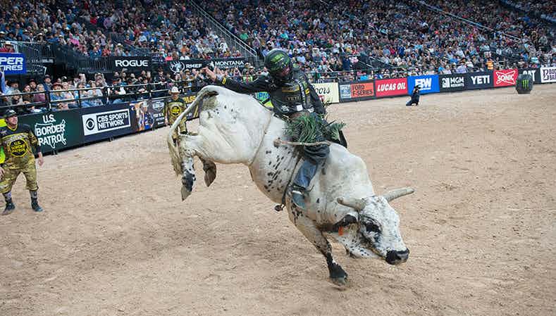 Smooth Operator's Top 5 bull scores, PBR