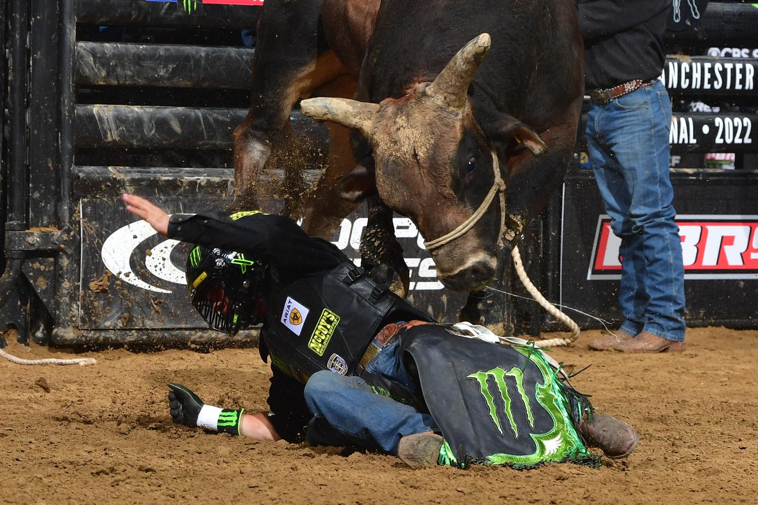 PBR Photo Gallery