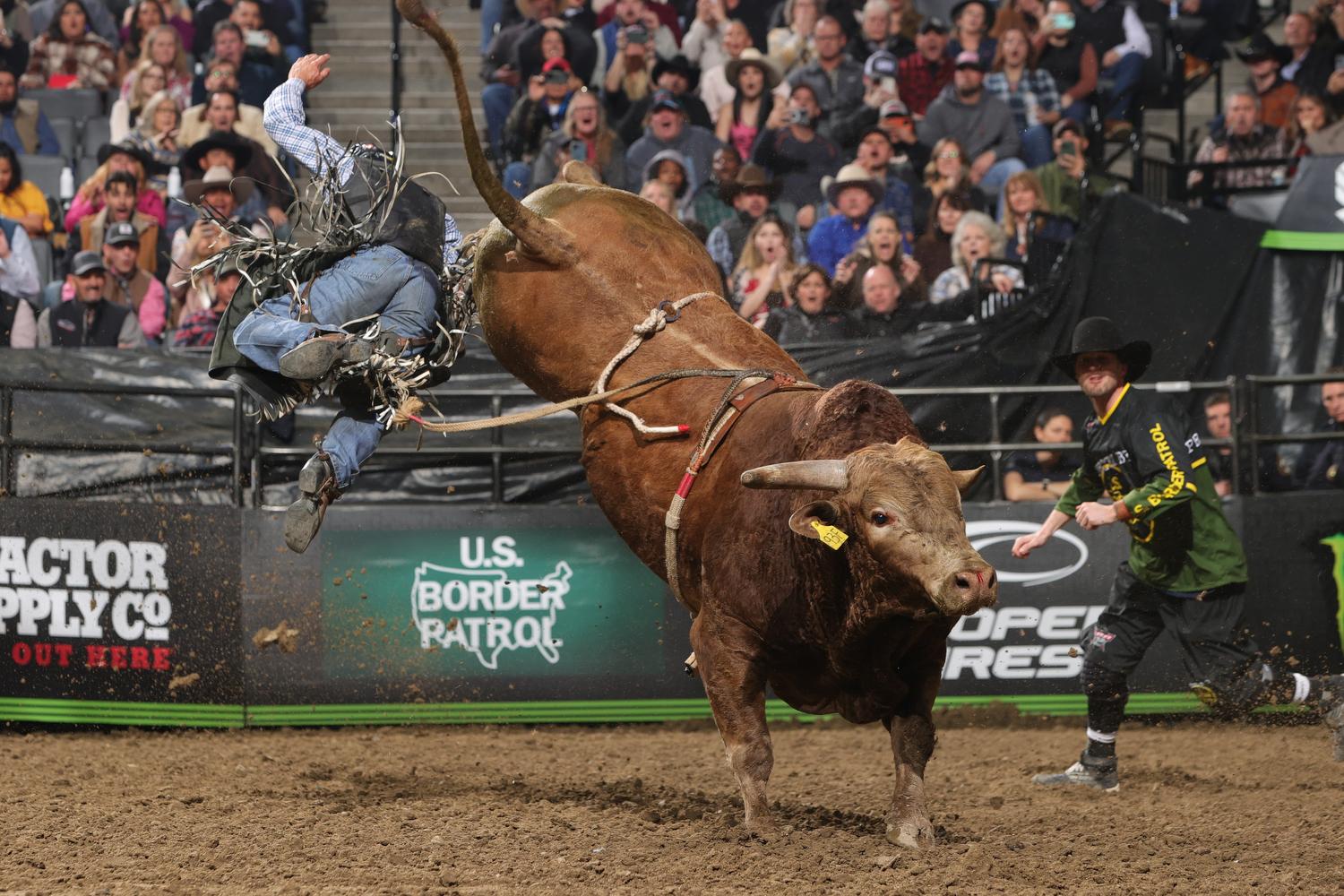 Behind the Lens Unleash The Beast Sacramento PBR Professional Bull