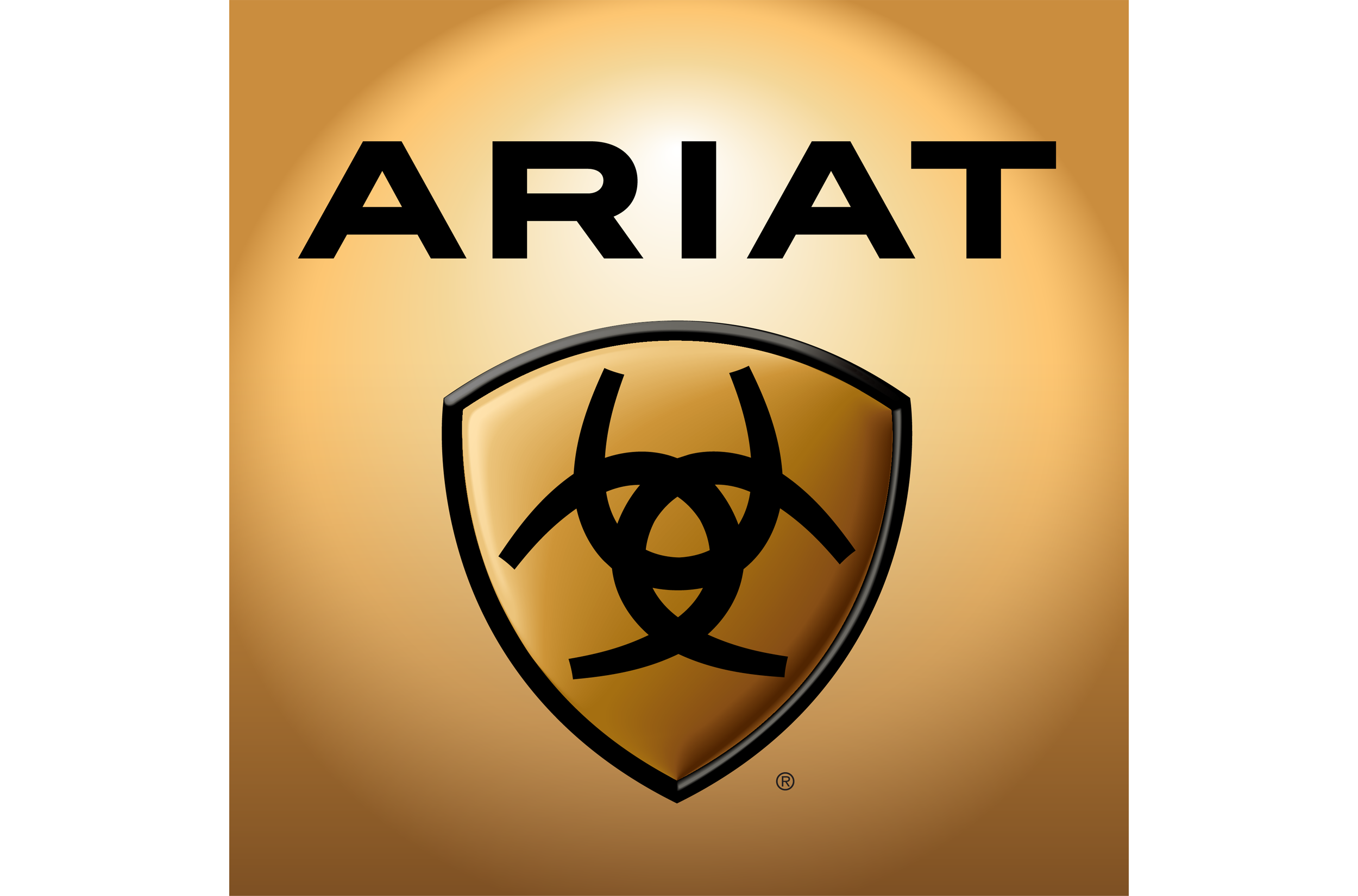 Ariat 175 112923