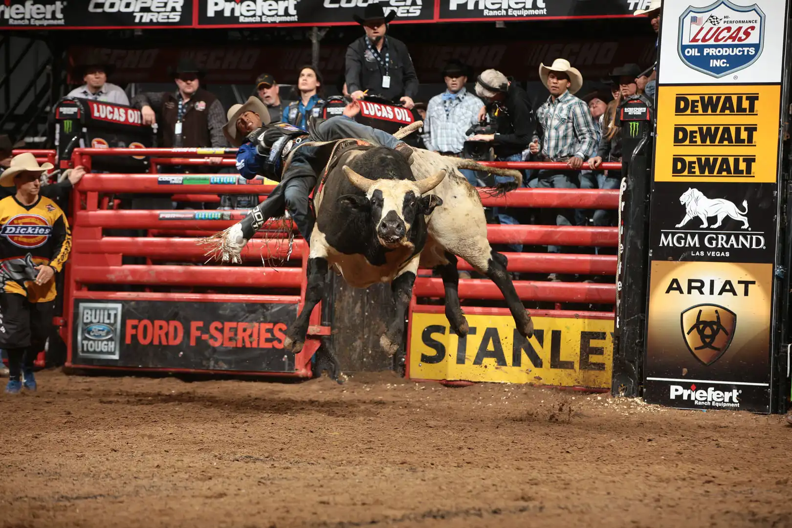 42006161-071f-4ed0-93dc-fb8184b70921