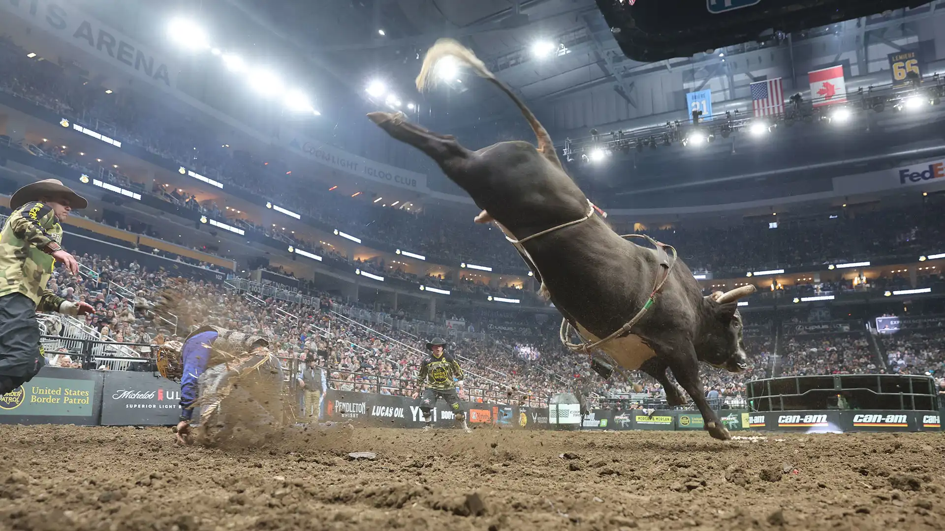Magic Potion breaks Cool Whip’s record streak with 49th consecutive buckoff