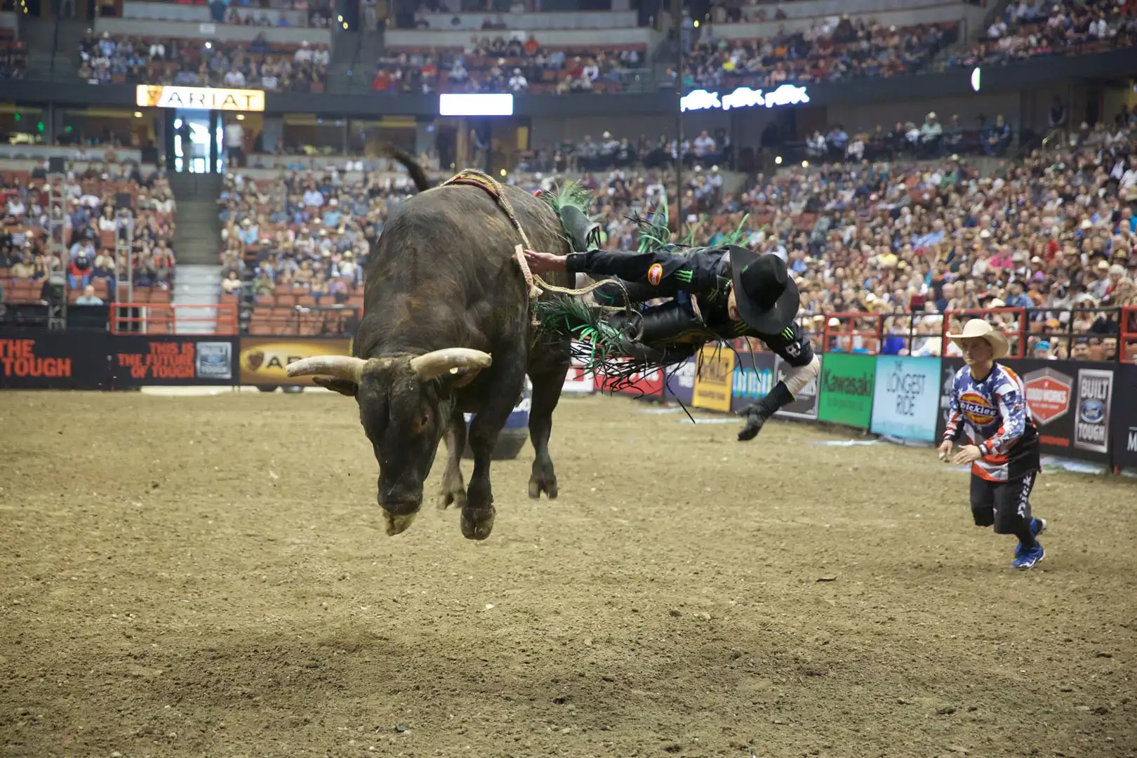 1c2a254b-a75d-4771-8010-180b3a9b51ae