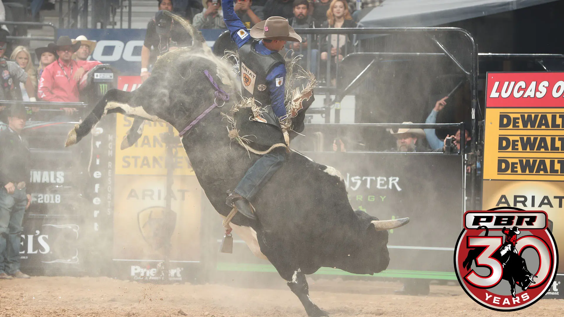 From the Vault: Legendary bovines Chiseled and Spotted Demon put up huge scores at the World Finals