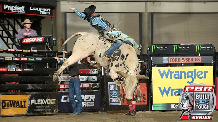 Deep Water impresses in final two outs of BFTS first half