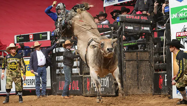 By the Numbers: Ridin Solo tied with Woopaa in YETI World Champion Bull race