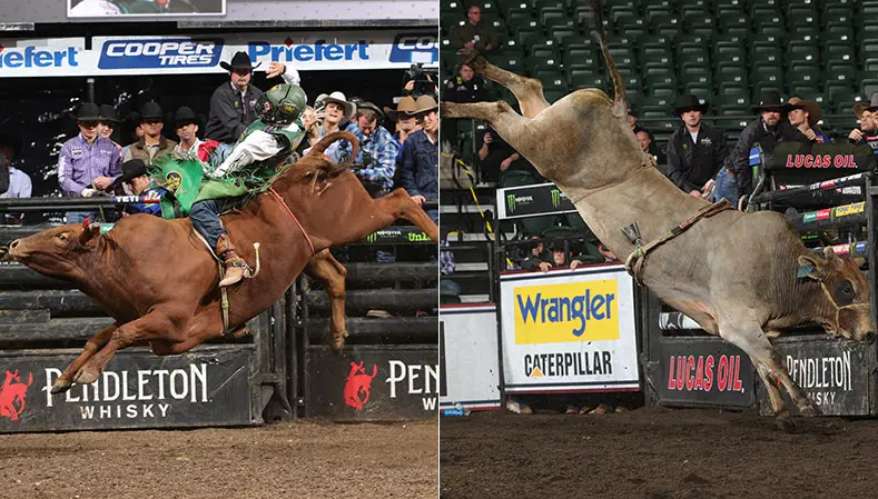 Woopaa and Ridin Solo remain tight in YETI World Champion Bull race