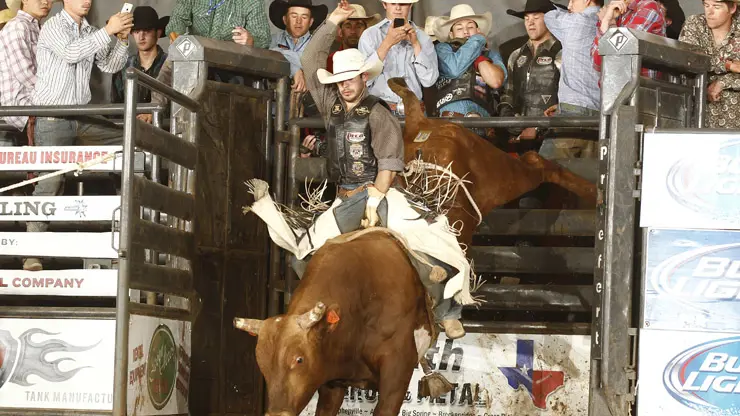 Bushwacker bests 2004 World Champion Mike Lee 