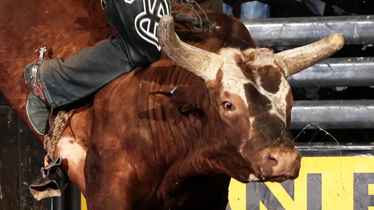 Bushwacker keeps the legacy going