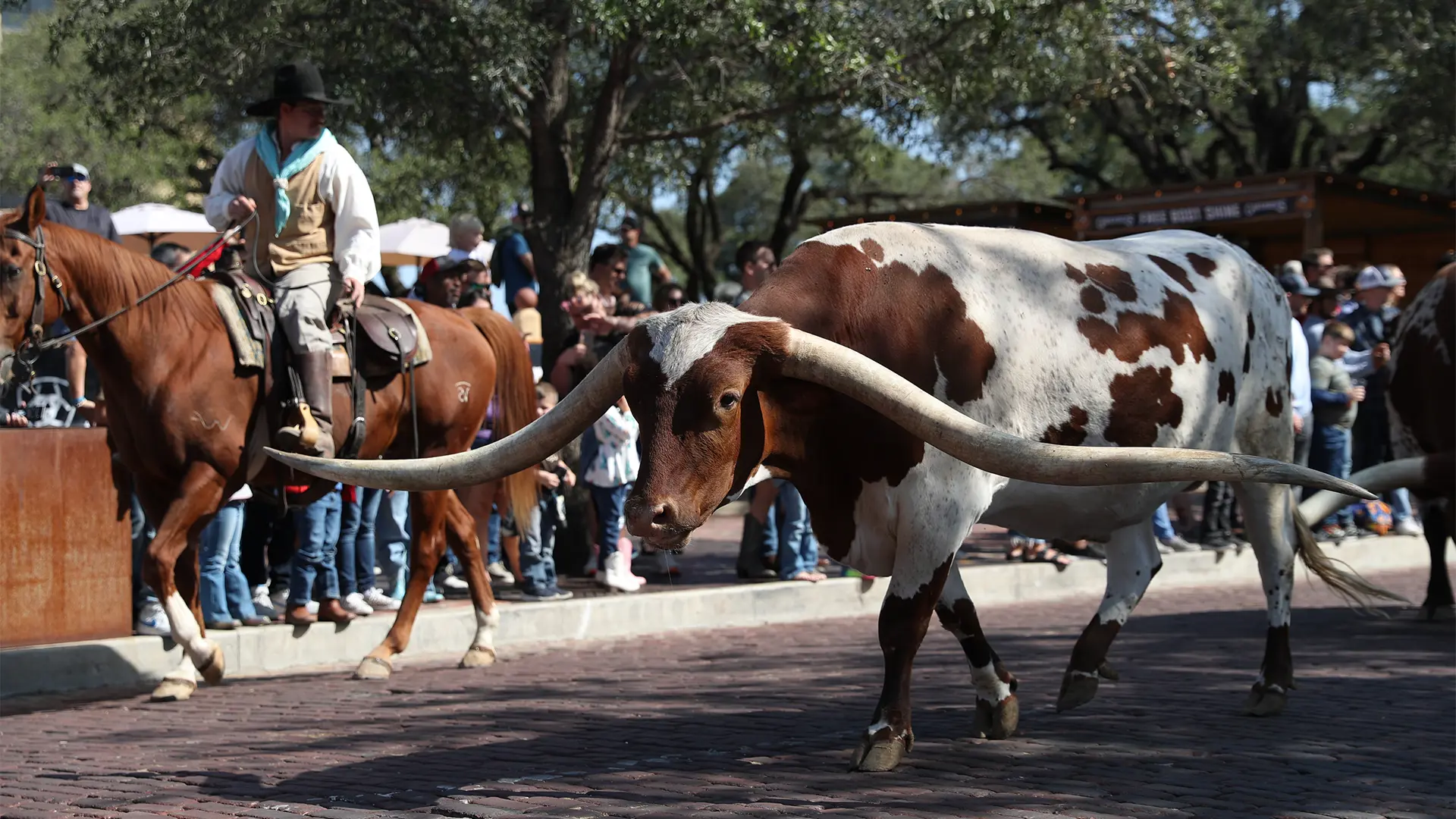 Gabriel Morais wins PBR Stockyards Showcase for first win outside of Brazil