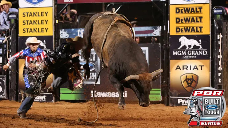 Magic Train ascending the ranks; Scharping to host bull riding school