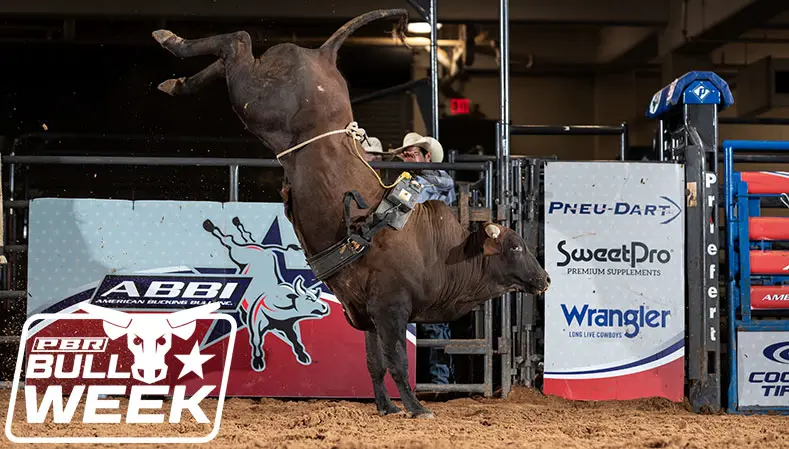 A look at American Bucking Bull, Inc.