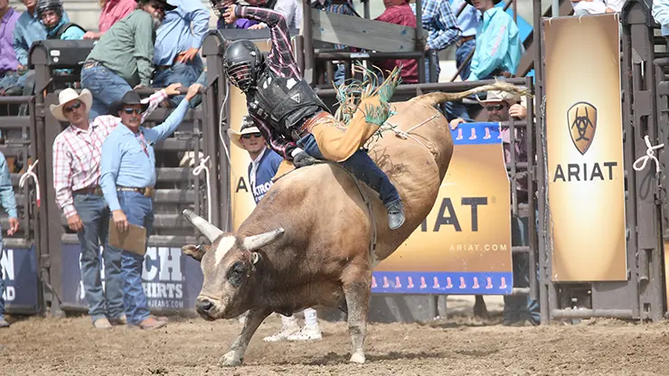 Skender surges to the lead in NHSFR bull riding