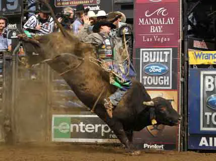 Yates wins final event of 2010 PBR Built Ford Tough Series