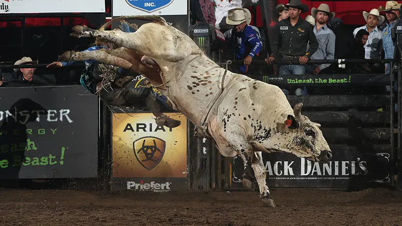 2019 PBR World Finals bulls revealed