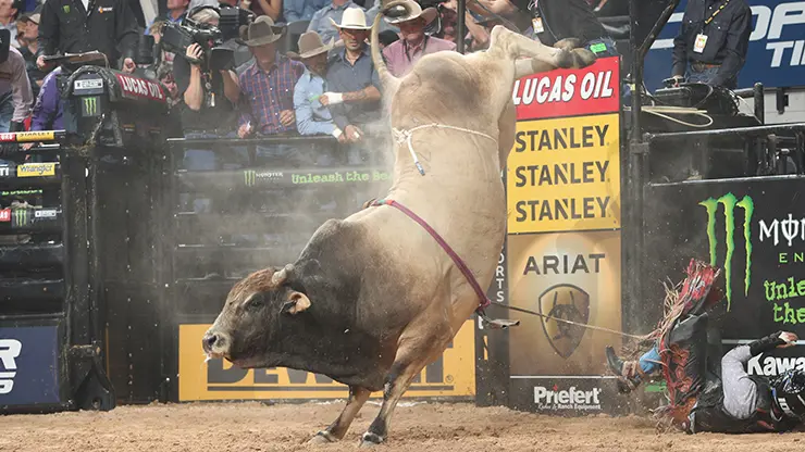 Bruiser will compete at NFR before future is decided