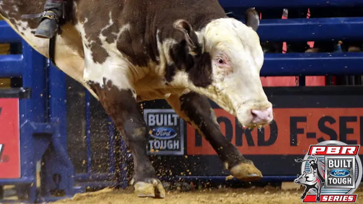 Mississippi Hippy retires from professional bull riding