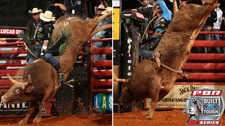 Little Red Jacket and Percolator tie for top bull in Biloxi