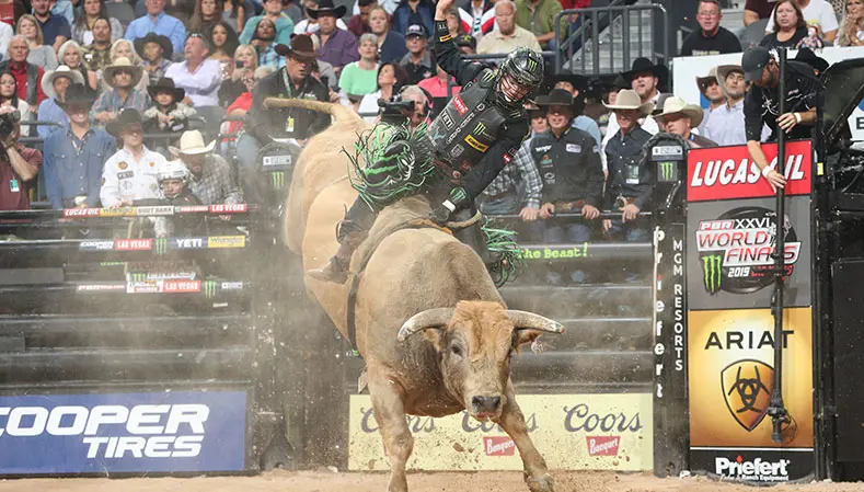 PBR Canada Bull of the Year contenders announced ahead of 2019 PBR Canada Finals