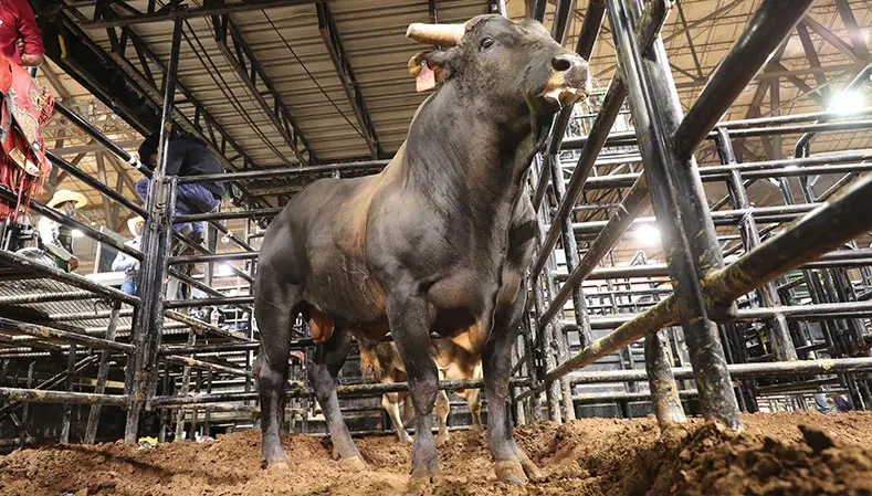 Chiseled makes statement that he is ready for second-half push at YETI World Championship