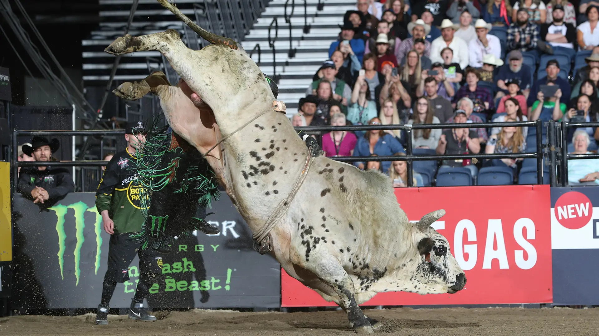 Smooth Operator extends lead in YETI World Champion Bull race