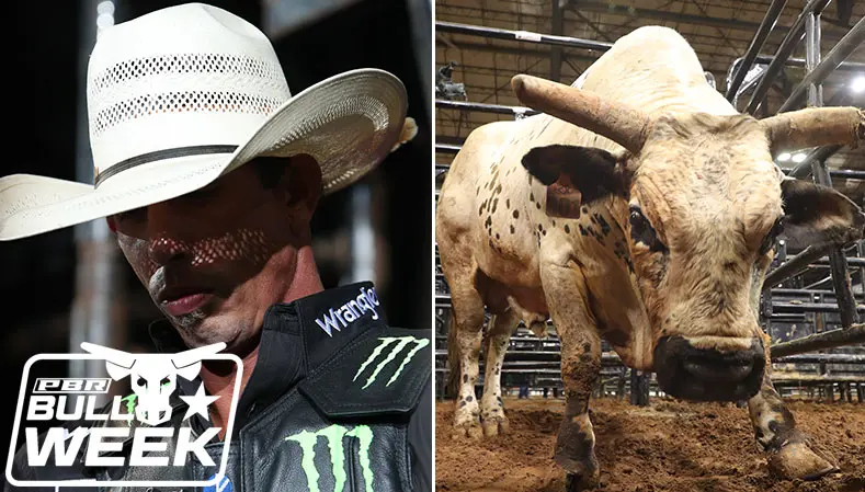 Mauney’s next World Champion Bull to conquer? Smooth Operator