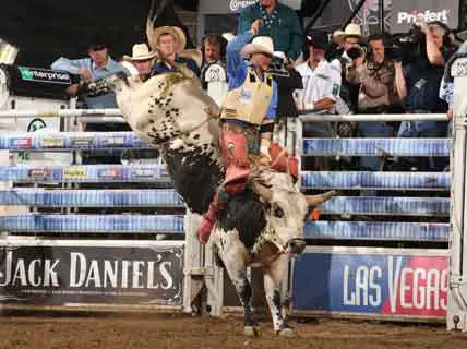 Tennessee Cowboy Takes Round Two Victory in Reno