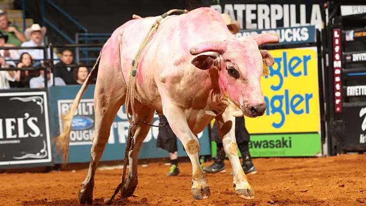 Git-R-Done in pink