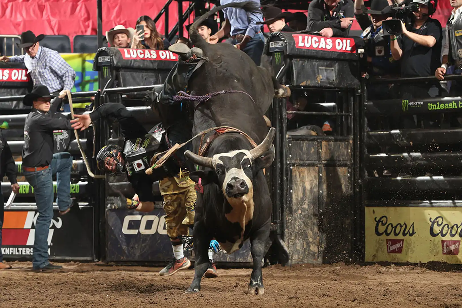 724dc14f-4049-4ba4-83a0-ad331d2dc0b8