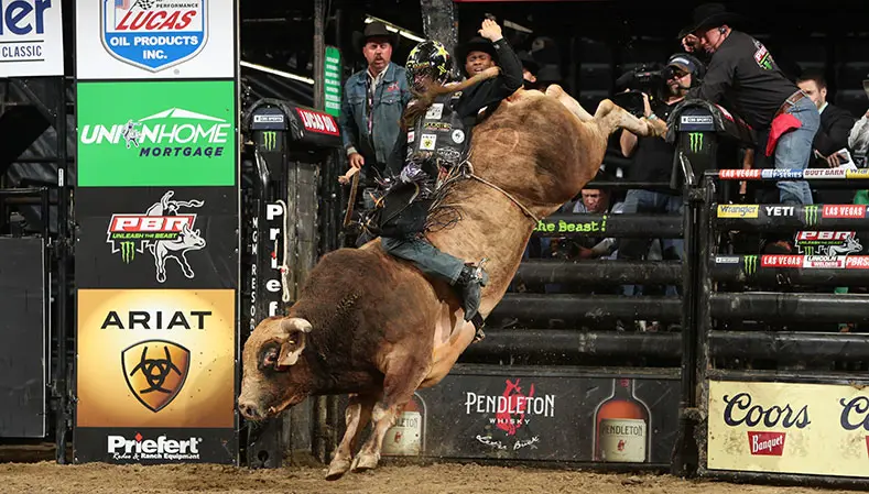Hocus Pocus impresses for top YETI “Built for the Wild” bull score (46) of Oklahoma City