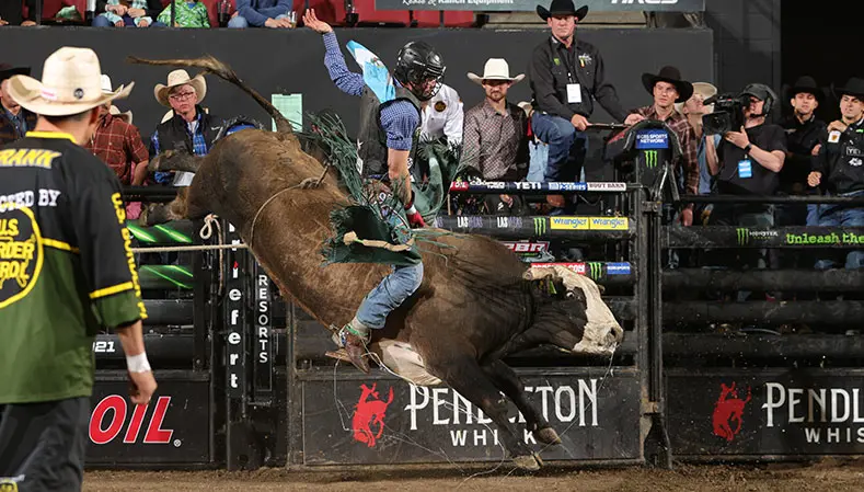 Vold Rodeo bovines impress at Montana Unleash The Beast event