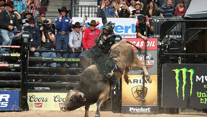 Four Canadian bulls selected to buck at the 2021 PBR World Finals in Las Vegas