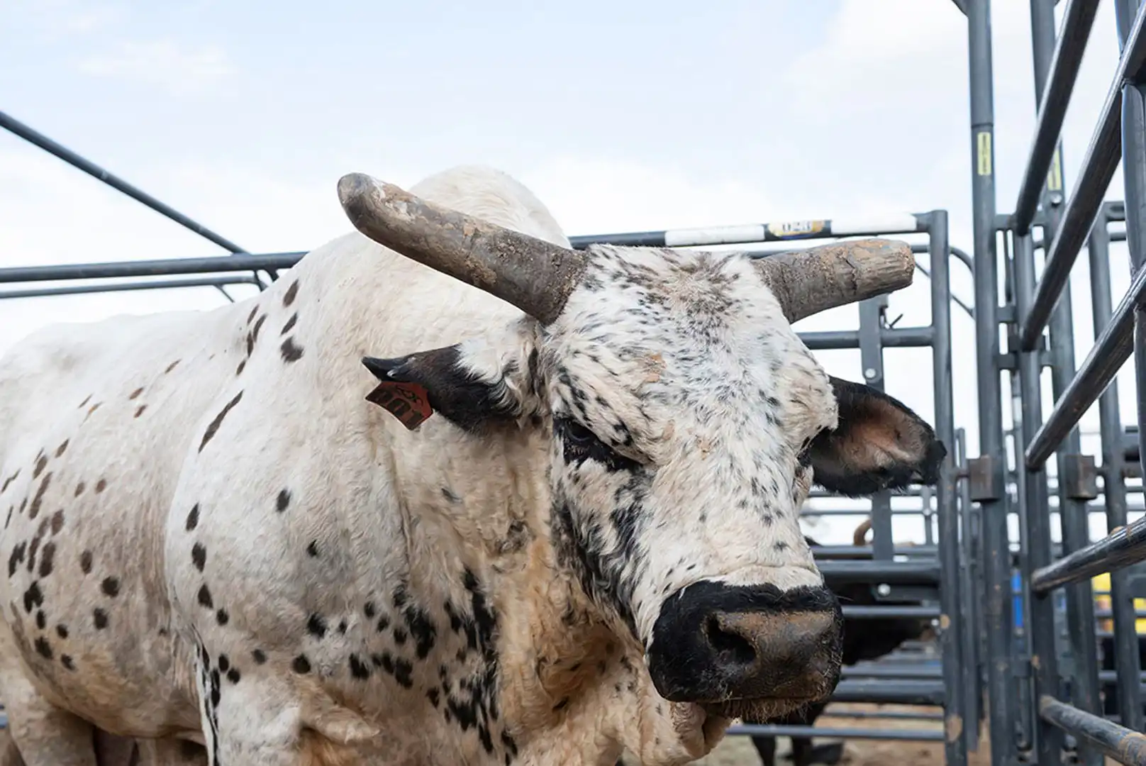 09334550-6bea-4d8a-8129-495e57f3b381