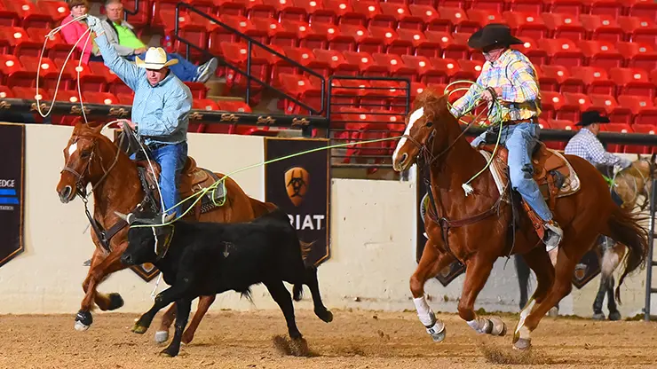 PBR and Active Interest Media announce media rights representation agreement