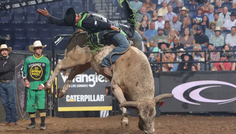 Divino regaining confidence as Gamblers improve to No. 2 in PBR Team Series 