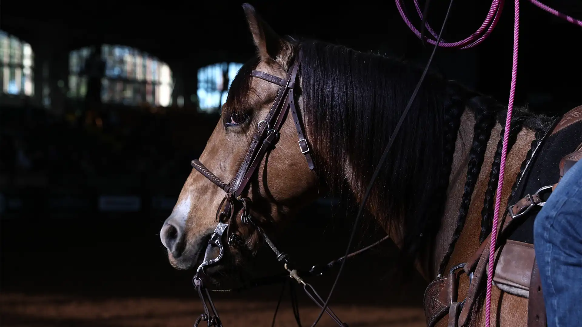 NextGen Rodeo named exclusive broadcast partner for 2025 International Finals Youth Rodeo