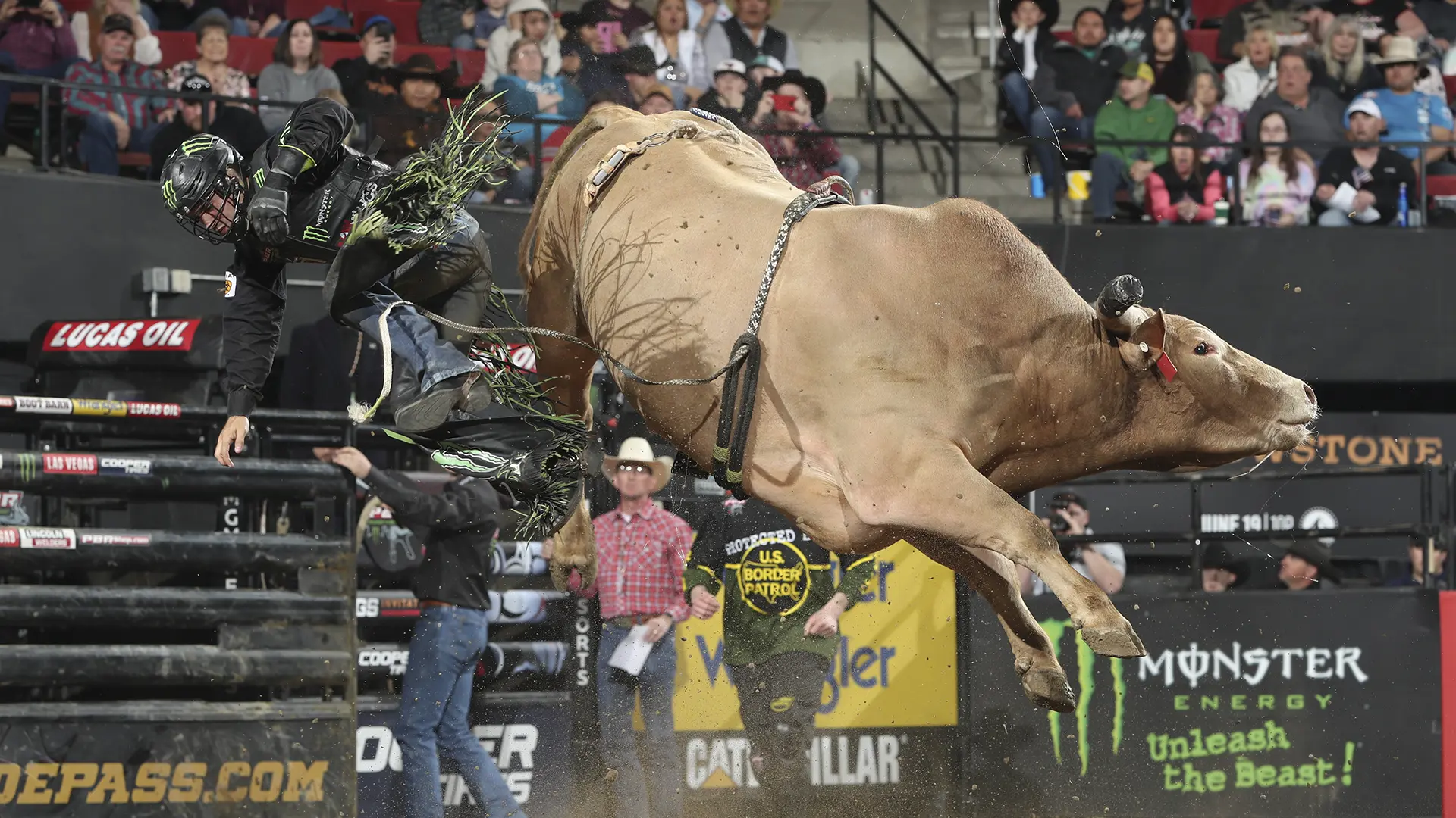 Heartbreak Kid’s 34 consecutive buckoffs now tied for fourth all time