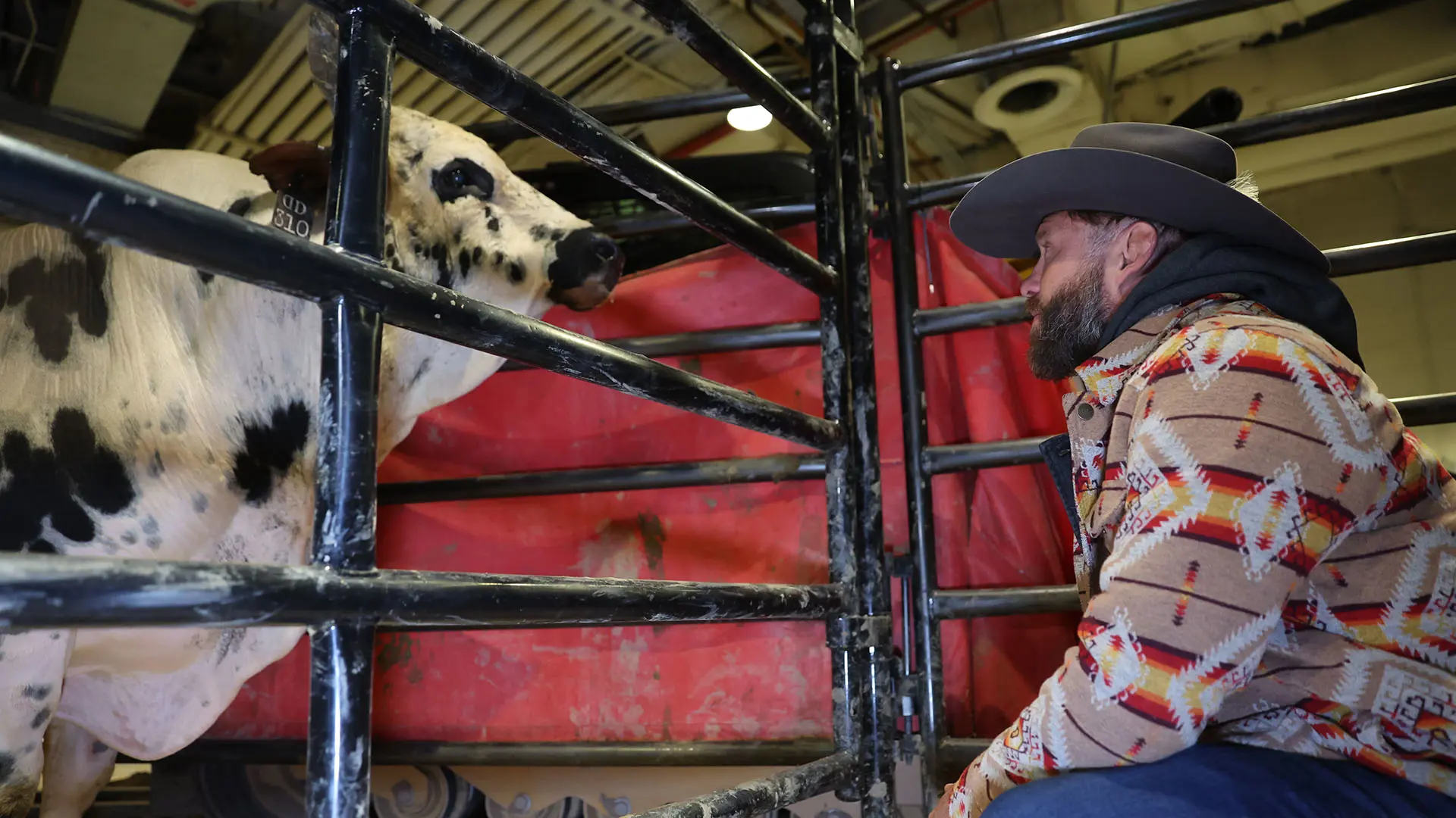 UFC Hall of Famer Cowboy Cerrone and Dana White’s Twisted Steel gearing up for heavyweight matchup at PBR World Finals