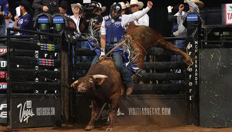 Arizona Ridge Riders and Nashville Stampede register first tie in PBR Team Series history on final day of Freedom Fest