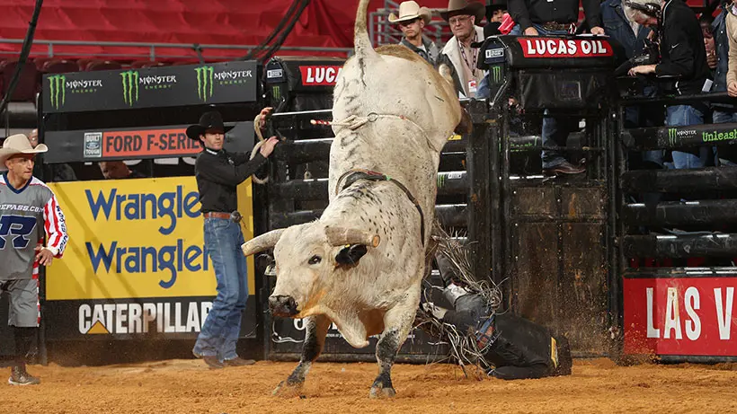 K-Bar-C Bucking Bulls to retire Bad Touch and Slinger Jr. 