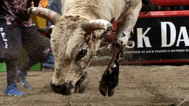 In the bull pen: Nashville