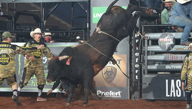 Chiseled leads top 2020 YETI World Champion Bull contenders bucking in Billings