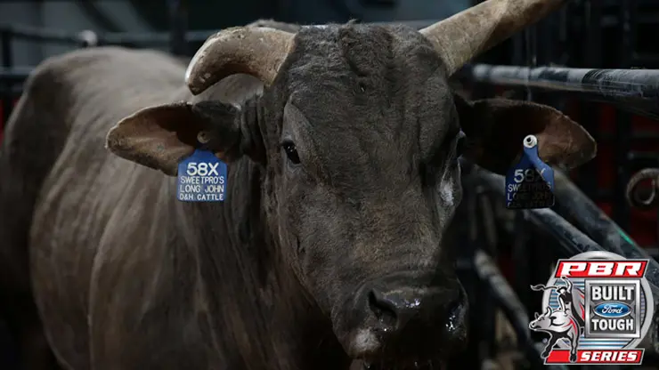 2015 World Champion Bull SweetPro’s Long John passes away 