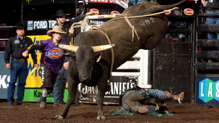 In the bull pen: New York City