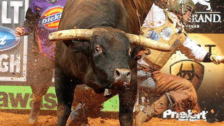 In the bull pen: Nashville