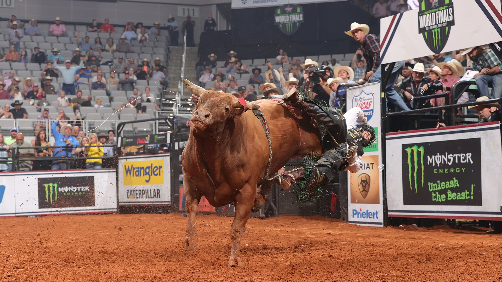 New York Times: They better start breeding cowboys