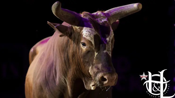 Bushwacker to receive Brand of Honor