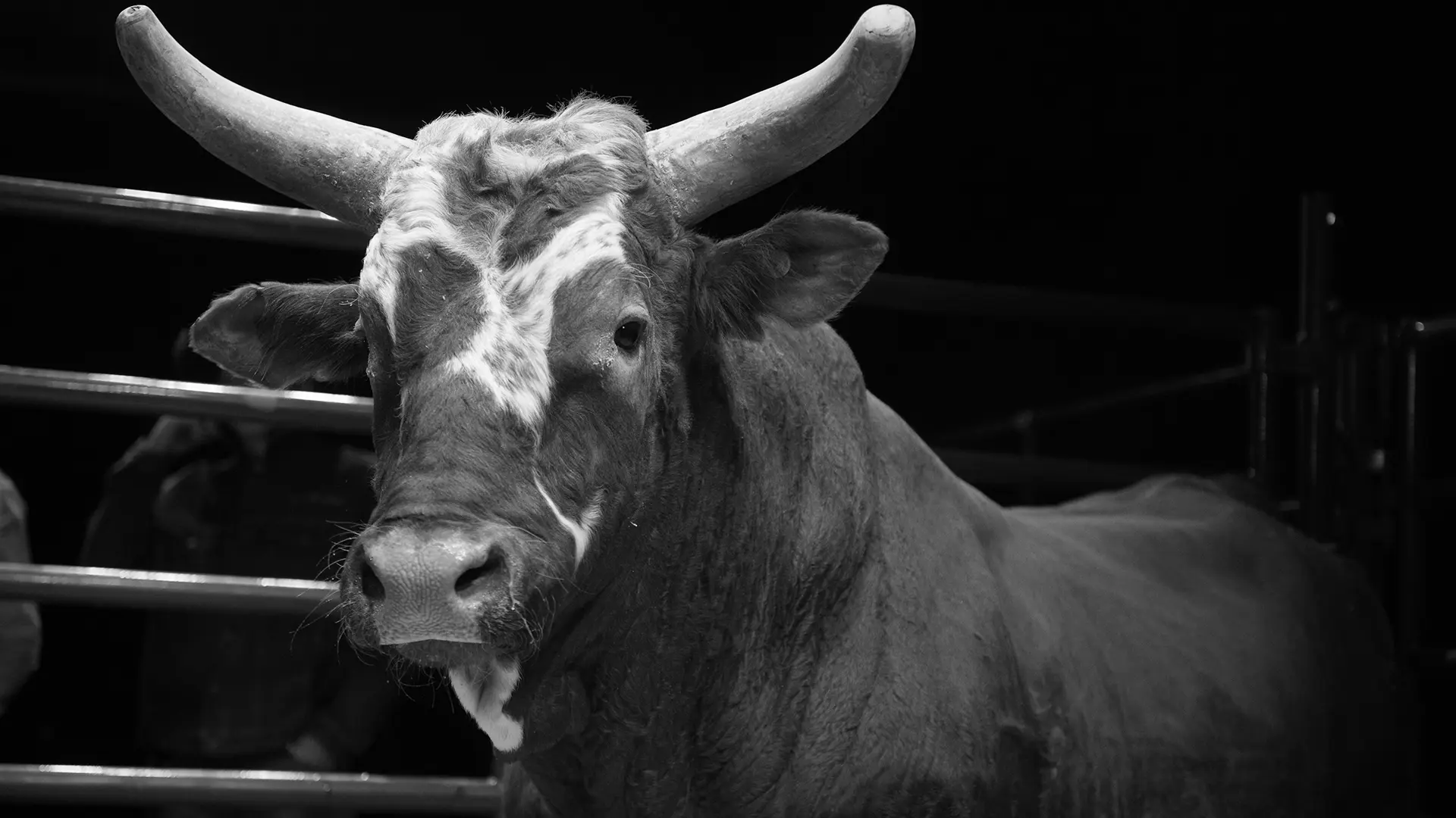 Three-time World Champion Bull Bushwacker passes away