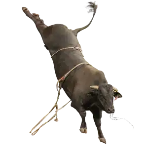 Flyin' Wired